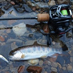 渓流でアマゴ狙い ～長良川水系～